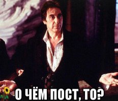 16 белых акул, которые ведут всем привычный образ жизни