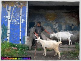 На старых автобусных остановках советских времен еще сохранились следы, некогда ярких и веселых, мозаик.
Немец Кристоф Брумме проехал на велосипеде через Россию и Украину и собрал огромную коллекцию фотографий с их изображениями.

В своем блоге он пишет: 

"Как я счастлив, что могу показать всем то, что я видел своими глазами и то что меня поразило больше всего. В первую очередь это необычные произведения искусства под открытым небом – автобусные остановки. Удивительные мозаики на этих остановках возникли еще в брежневские времена, когда в СССР стало бурно развиваться автобусное сообщение.
Образцом для автобусных остановок стали мозаики московского метро. Украшение придорожных «мест ожидания» это та же, но профанизированная традиция. Мозаичное искусство также должно было служить делу социалистического реализма. Но что это за реализм такой, если он состоит из маленьких камушков? Ни Маркс, ни Ленин не высказывались по этому поводу..."