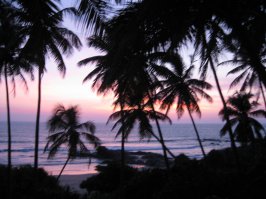 Был на Шри Ланке(Бентота), супер! Вся живность присутствует, в отличии от Индии. Немного фоток.