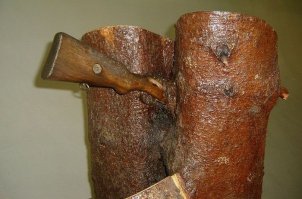 Дерево не умрет даже если в него анкеров навтыкаешь,оно умирает если снять кору кольцом вокруг ствола.Так что это фигня придумка.