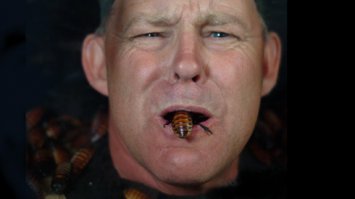 Девушка и жучок