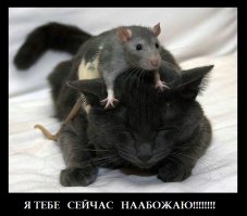 30 картинок, которые сделают вашу сегодняшнюю жизнь лучше