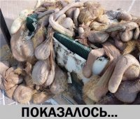 Самый лучший инстаграм на свете