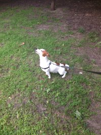 30 картинок, которые сделают вашу сегодняшнюю жизнь лучше