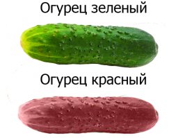 Ну типа: