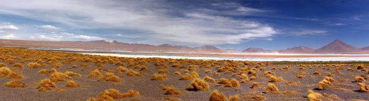 где нет файфая )