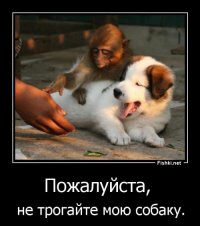 22 признания людей, которые не любят, когда к ним прикасаются