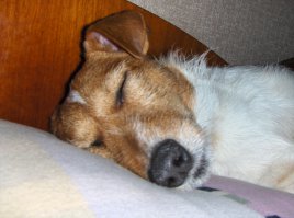 А вот первое, что я вижу каждое утро, как только открываю глаза