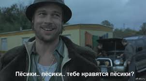 "Блик от зеркала заставлял их кусать потолок снова и снова"