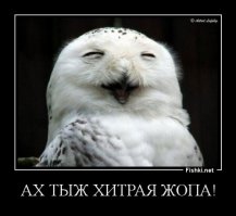 "Меня арестовывали 40 человек — Интерпол, ФБР, полиция"