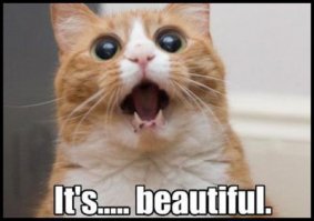  Этот парень взорвет ваш мозг! Подборка лучших вайнов Зака Кинга