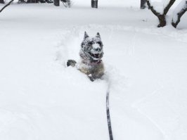 30 картинок, которые сделают вашу сегодняшнюю жизнь лучше