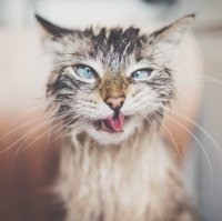 Это вечером сегодня (пятница) он будет так улыбаться