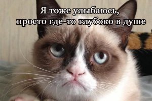  Что может поднять настроение лучше кота? Улыбающийся кот!
