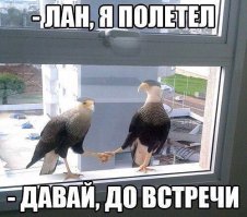 Пятничная подборка демотиваторов  