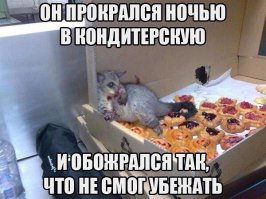 Пятничная подборка демотиваторов  