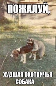 Пятничная подборка демотиваторов  