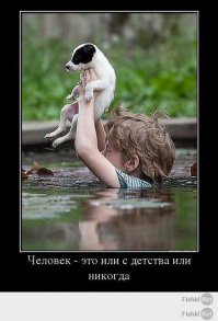 Пятничная подборка демотиваторов  