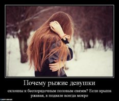 Пятничная подборка демотиваторов  