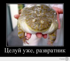 Пятничная подборка демотиваторов  