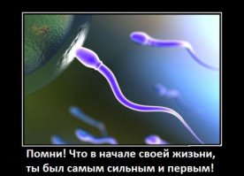 Пятничная подборка демотиваторов  