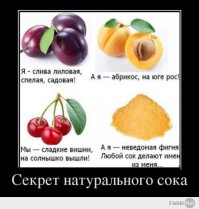 Пятничная подборка демотиваторов  