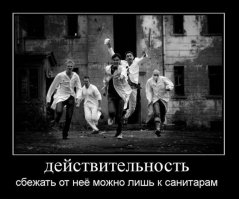 Как вам такая новость?