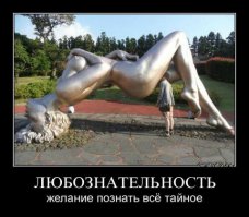 А где это такой шедевр ?