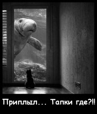Сюрреалистичные черно-белые фотографии от Сары Деремер