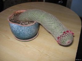 Самый лучший инстаграм на свете