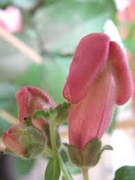 Самый лучший инстаграм на свете