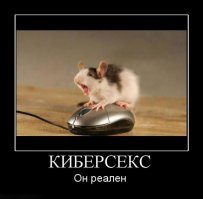 Семь секретов вашей мышки