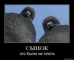 Картинки Обо всём