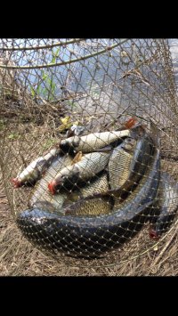 Хз. У меня сносно все было