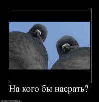 Картинки Обо всём