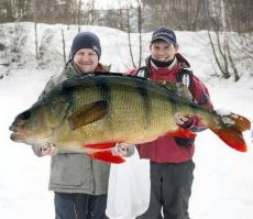 Счастливая рыбалка