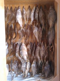 Нам, кустарям далеко до куриных грудок!