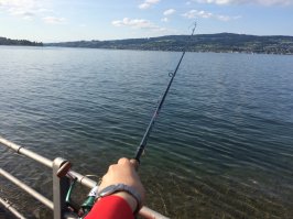 Фоткал Айфоном, а на фишках с него фотки боком загружаются;(