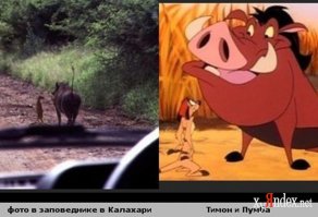 Тимон и Пумба