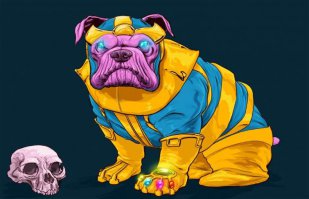 Бульдоги украины "жовто-блакытни" против "вежливых"" бульдогов