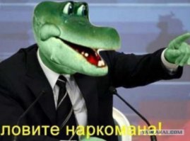 ловите наркома