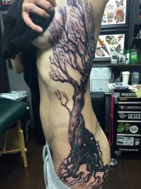 Потом будет плакучая ива!!!