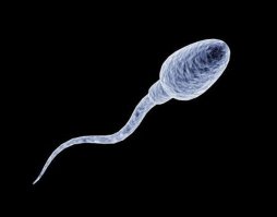 есть универсальная.