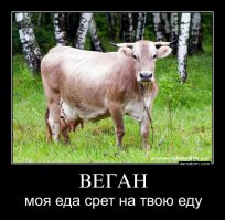 20 шпаргалок, которые пригодятся на кухне