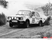 Бузумные арабы