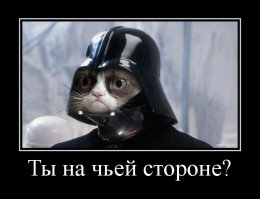 Мышь была в заведомо проигрышном положении, находясь на крыше.