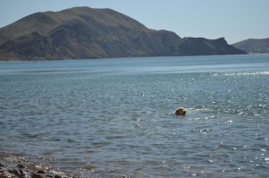 Под Коктебелью, пара дней назад