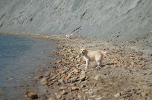 Под Коктебелью, пара дней назад