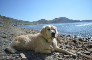 Под Коктебелью, пара дней назад