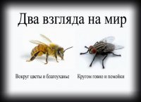 мои соболезнования.